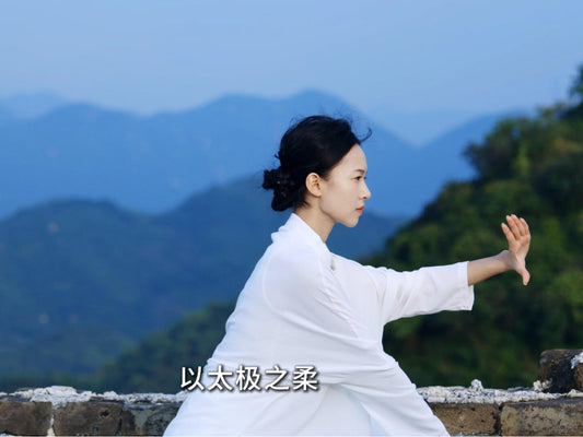Towards A Deeper Understanding - Exploring Zhi Jin (知劲, Knowing Energy.) vs. Dong Jin (懂劲, Understanding Energy.)