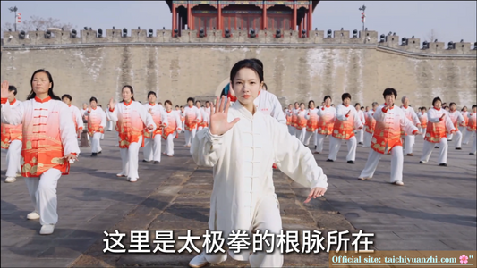Wang Zongyue’s Treatise on Tai Chi Chuan: The “Bible” of Tai Chi — How 300-Year-Old Wisdom Illuminates Modern Health